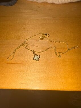 gold evry jewels necklace!!